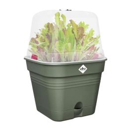 Elho 6662903536000 Green Basics Maceta de Cultivo Cuadrada Ø 35 cm 14 L Plástico Verde