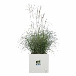 Jardinera Elho Vivo Next Square 30 - Blanco - Ø 30 x H 29 cm - interior/exterior - 100% reciclado