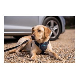 Arnés para Perro Company of Animals CarSafe Negro Talla S