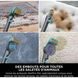 Shark Quitamanchas para mascotas PX250EUT StainStriker HairPro - Alfombras, tapetes, muebles, escaleras, coches - 450 W - 1,2 L - 1,26 m