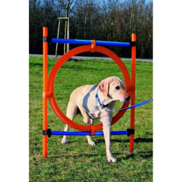 Trixie TRI4011905032085 Aro Agility para perros 115 x 3cm Plástico