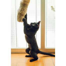 Gloria Cojín Grande Gehry para Gato Piel de Conejo 100% Natural Fabricado en España 40x11 cm