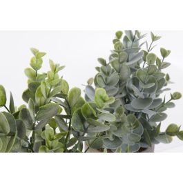 Planta DKD Home Decor Verde Verde Musgo 11 x 24 x 11 cm (12 Unidades)