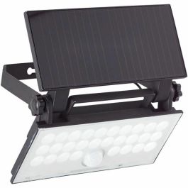 Brilliant Aplique de exterior LUTON BRI4004353437793 LED y Solar con Detector de Movimiento en Negro