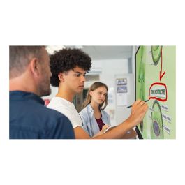 Optoma 3752RK Display Digital Señalización Táctil 75 Pulgadas 4K Ultra HD