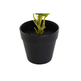 DKD Home Decor Planta Diefembaquia Verde y Negra de PVC y PP, Ancho 25cm, Largo 25cm, Alto 30cm