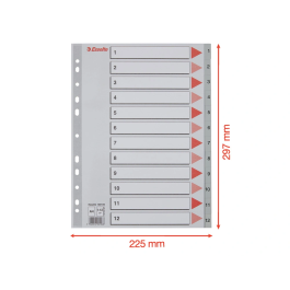 Esselte Separador Numerico 1-12 Cartulina Folio Juego de 12 Separadores Multitaladro