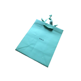 Tous, Compras, Bolsa de la compra de cartón, Papel, Verde Precio: 28.49999999. SKU: B1BS6MSW6E