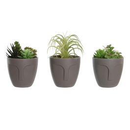 Planta Urban DKD Home Decor Gris Verde 11 x 15 x 11 cm (3 Unidades) Precio: 19.49999942. SKU: B12RQXJAKG