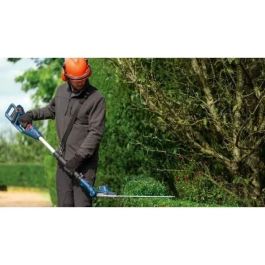 Bosch Professional Cortasetos GHE 18V-50T BOS4059952688299