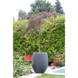 Eda 13737GANTPX12 Olla Redonda Grafito Ø50cm - Capacidad 53L - Gris Antracita