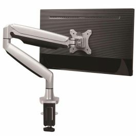 Soporte de Mesa para Pantalla Startech ARMPIVOTHD Gris
