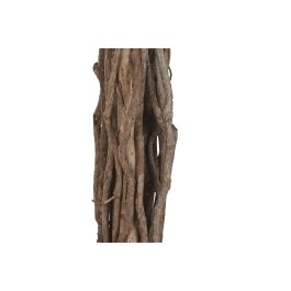 DKD Home Decor Árbol Ficus Tropical Artificial Verde Marrón de 120 cm Alto x 80 cm Ancho x 80 cm Largo (2 Unidades)