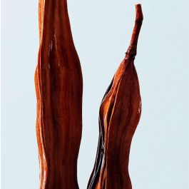 Shu Uemura Acondicionador Hidratante Cabello Seco Urban Moisture 250 ml