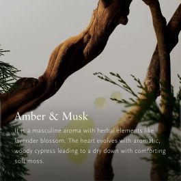 Rituals HOMME difusor de ambiente para coche, aroma ámbar y almizcle, 3 g