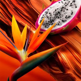 Escada Bali Paradise Eau de Toilette para Mujer 50 ml