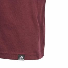 Camiseta de Manga Corta Adidas Gfx Folded