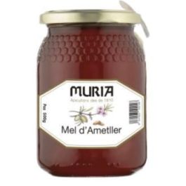 Miel De Almendro 500 Gr Precio: 9.79. SKU: B1FK5SFVZ2