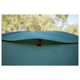 Coleman Darwin 4 Plus Tienda de Campaña Iglú para 4 Personas, 7.8 m², con Vestíbulo, Verde
