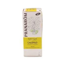 PRANAROM ACEITES Aceite Vegetal Bio Calofilo 50Ml para Piernas Pesadas Varices y Arrugas con Refuerzo Circulatorio Precio: 17.69000035. SKU: B1HX8DGZYL