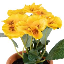 Planta Pensamiento 3/M Blanco 19 X 19 X 20 cm