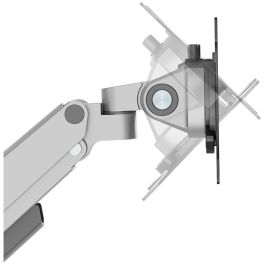Soporte de Mesa para Pantalla Neomounts DS70-250SL1 17" 35"