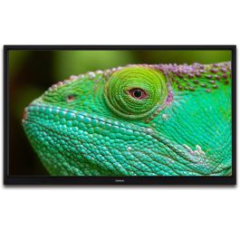 Lenco LED-2463 TV Smart LED 24" (61 cm) HD 1366x768 con Android TV, Wifi y Bluetooth, color negro