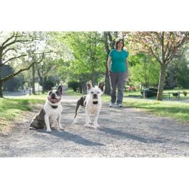 Petsafe LITE 300 m Sistema de Entrenamiento para Perros con Estimulación, Vibración y Sonido, Alcance 300m, 15 Niveles, Impermeable, Recargable Petsafe LITE 300 m Sistema de Entrenamiento para Perros con Estimulación, Vibración y Sonido, Alcance 300m, 15 Niveles, Impermeable, Recargable