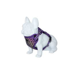 Freedog Arnés Boreal Lila 20 mm, Cuello 38-59 cm, Peso 38-75 cm Precio: 19.68999967. SKU: B1AG42YTKN