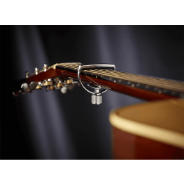 G7TH Cejilla Adaptable Estilo 1 Ancho - Plateada