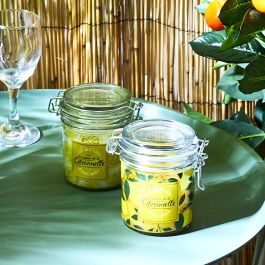 Home Deco Factory Vela Citronela Antimoustique Tarro Vidrio 135g Duración 34h 11x8x10cm