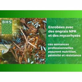 BHS BHS3366670322789 Césped inglés 3 kg para jardines premium