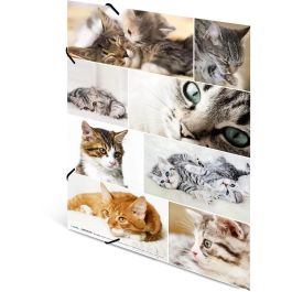 HERMA 19219 Carpeta de cartón A3 con diseño de Gatos - Archivador Multicolor con 3 Solapas para Documentos y Dibujos