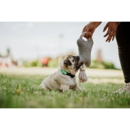 Tickless Repelente Ultrasónico Mini Dog & Cat Protección contra Pulgas y Garrapatas Mentha Green TIC5999566451683