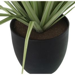 Planta Decorativa Alexandra House Living Plástico Helecho 92 cm