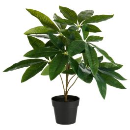 Planta Artificial Castaña Agua Day Planta Artificial Castaña Agua Day Precio: 9.9099. SKU: B16XFBANM7