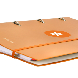 Antartik Carpeta con recambio A4 cuadro 5mm forrada 4 anillas 40mm redondas con solapa color mostaza