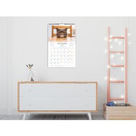 Calendario Espiral Pared Liderpapel Imagenes Gatos 2025 Para Escribir 25x40 cm Papel 157 gr