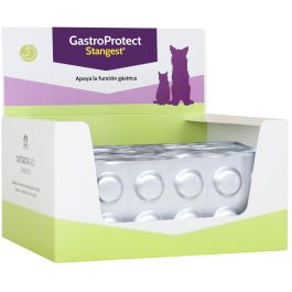 Stangest GastroProtect Suplemento Gastrointestinal Perros y Gatos 12x10cp Precio: 82.5. SKU: B1EVJEHQNQ