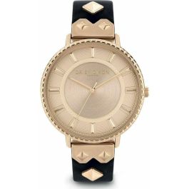 Reloj Mujer Daisy Dixon DD107BRG (Ø 35 mm) Precio: 68.4999997. SKU: B19FWXD856