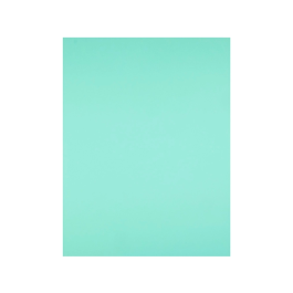 Liderpapel Cartulina 50x65 cm 180g/m2 Verde para Dibujo y Manualidades