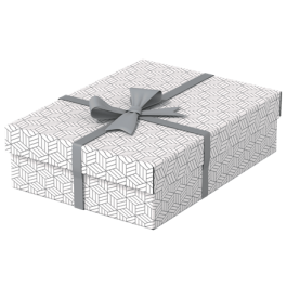 Esselte 628284 Pack 3 Cajas de Almacenamiento Blancas, 360x265x100mm