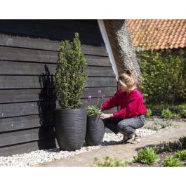 Florero bajo elegante - CAPI EUROPE - RIB NL - 34 x 46 cm - Negro Florero bajo elegante - CAPI EUROPE - RIB NL - 34 x 46 cm - Negro