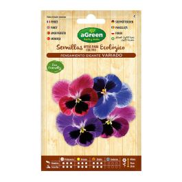 Agreen Sobre de Semillas Pensamiento Gigante Bianual para Macizos y Parterres Precio: 2.50000036. SKU: S7911869