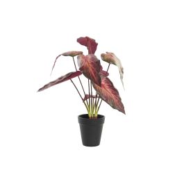 Planta DKD Home Decor Rojo Burdeos 20 x 38 x 20 cm (6 Unidades) Precio: 46.49999992. SKU: B1K5L9NQET