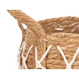 Maceta de Esparto Ovalada 20 cm con Asas de Macramé - Giftdecor (12 Unidades) Maceta de Esparto Ovalada 20 cm con Asas de Macramé - Giftdecor (12 Unidades)