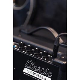 EBS Session 30 Mk3 Amplificador Bajo Combo 30W 1x8" Tweeter Bluetooth