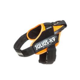 Arnés para Perro Julius K9 IDC Naranja L/XL 2 71-96 cm Arnés para Perro Julius K9 IDC Naranja L/XL 2 71-96 cm Precio: 81.50000012. SKU: B1FJSTXSJW