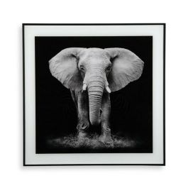 Cuadro Elefante en Cristal Versa - 2x50 cm (2 Unidades) Cuadro Elefante en Cristal Versa - 2x50 cm (2 Unidades)