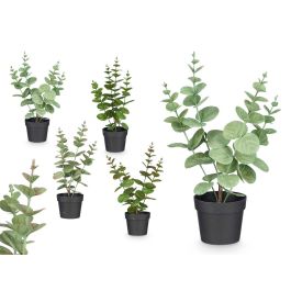 Maceta Planta Hoja Redonda Mate Brillo Surtidos Col Ibergarden 16X35CM (12 Unidades) Precio: 36.58999949. SKU: B143BBPJ96